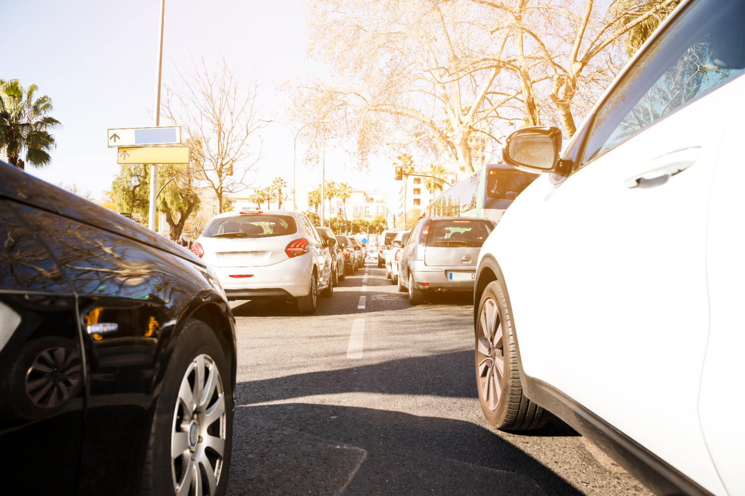 What Are the Main Auto Auction Rules & Policies? Cheat List by Modus for 2025